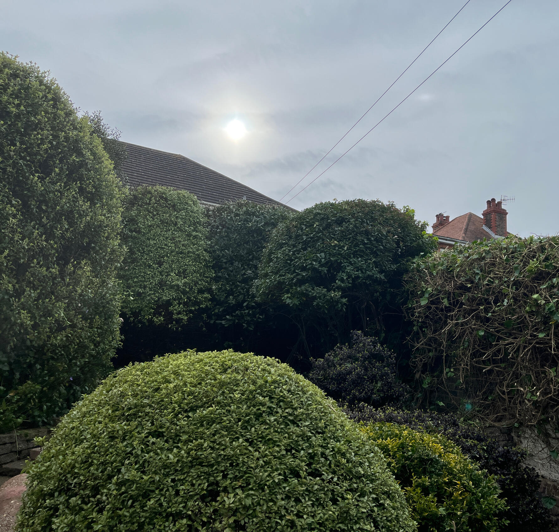 GARDEN MAINTENANCE - No job is too small, whether you need regular upkeep or a one off visit we offer reliable garden maintenance from hedge cutting to lawn care, to general tidying and seasonal work.